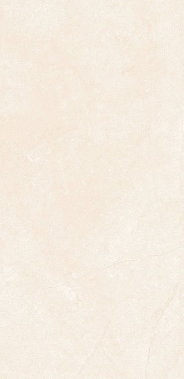 OL Marfil Matte 12 x 24